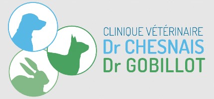 Clinique Chesnais & Gobillot